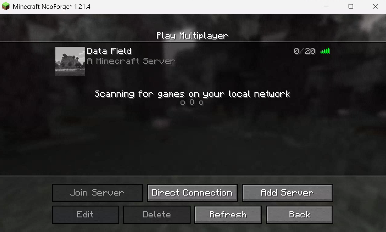 Multiplayer Server
